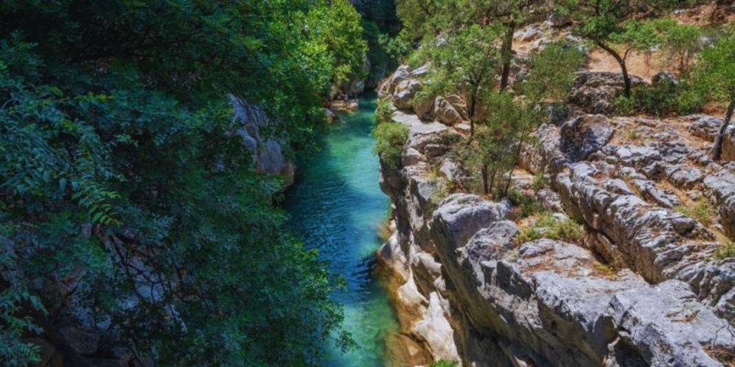 İsteyen pikniğini yapıyor isteyen yürüyüşünü! Doğal güzelliği büyülüyor: Giden gitmeyene öve öve bitiremiyor 2